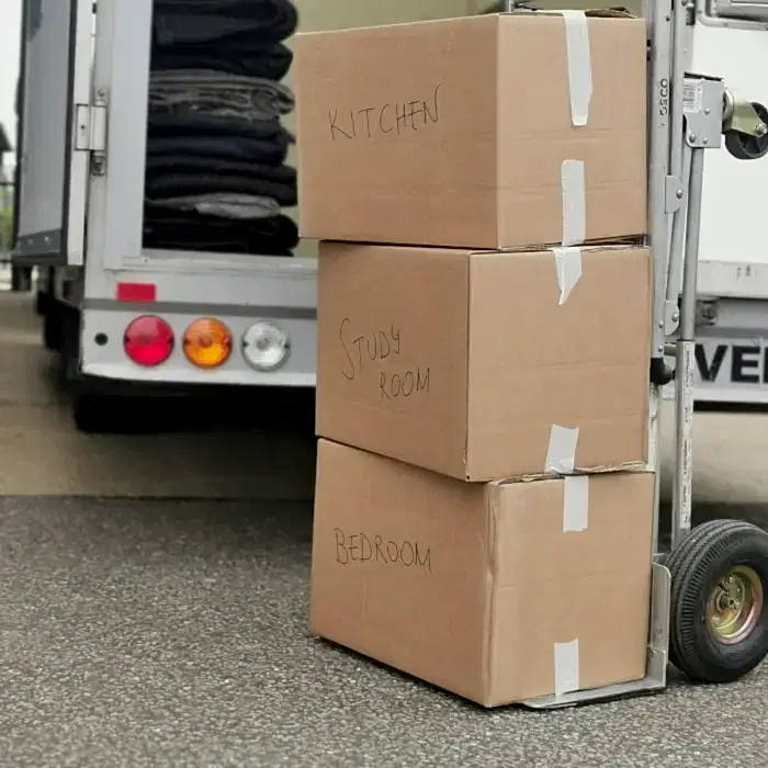 Fantastic London movers
