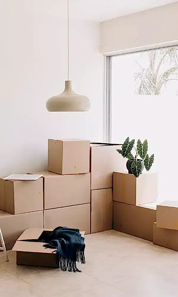 Packed boxes for moving